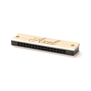 Harmonica a graver